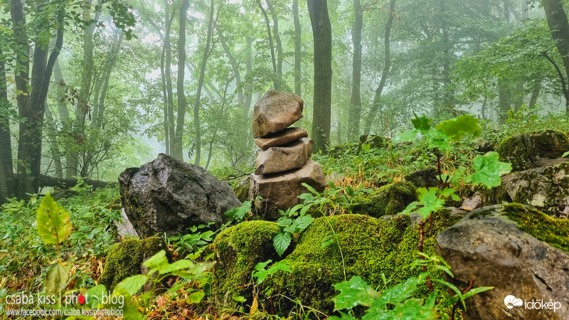 Őszi hangulat a Mecseken