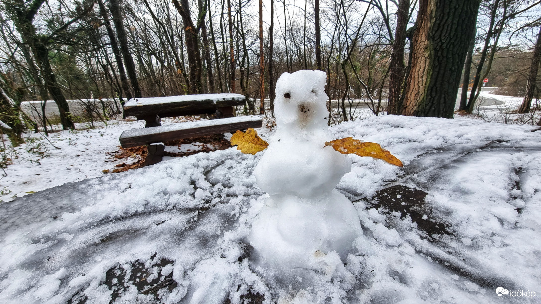 Ma reggel a Mecseken.