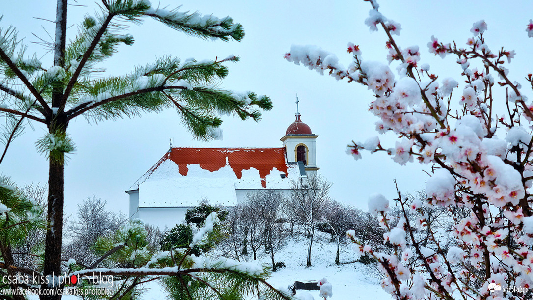 Pécs - Havihegy