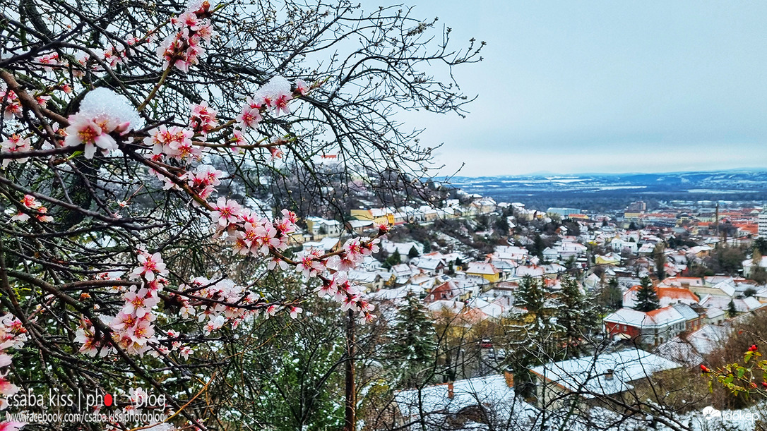 Pécs