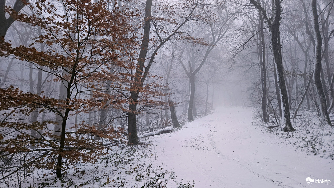 Pécs - Mecsek