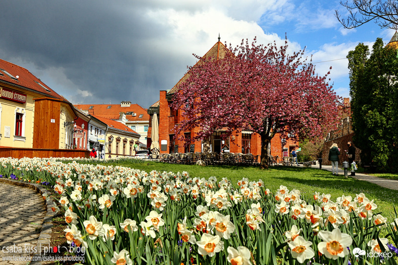 Pécs