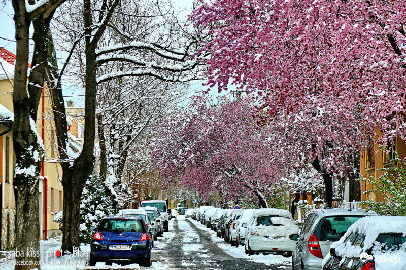 Pécs