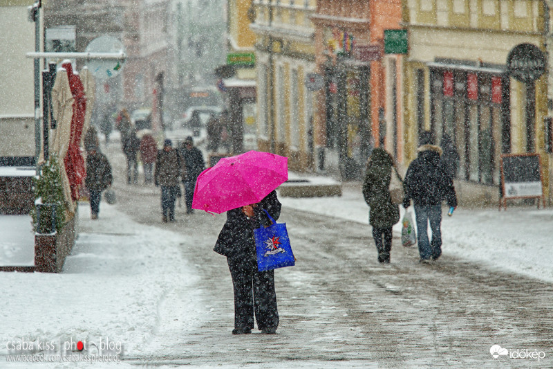 A lila esernyő