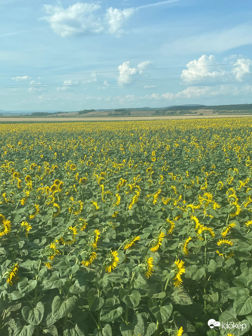 Szécsény