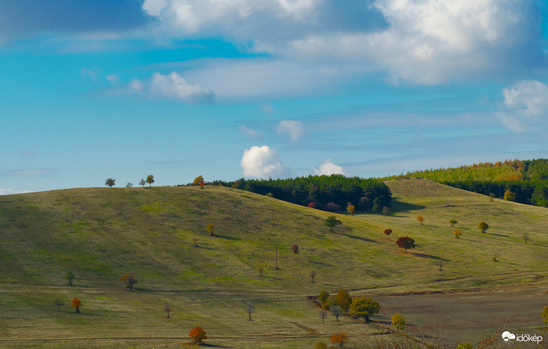 Őszi természet