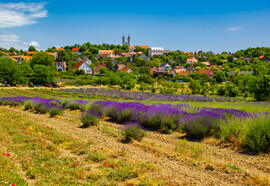 Tihany