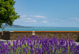 Tihanyi panoráma