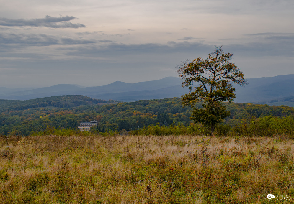 Az ősz színei a Márában