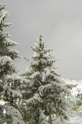 Havas reggel a Mátra lábánál