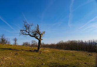 Napsütéses Eremény-tető