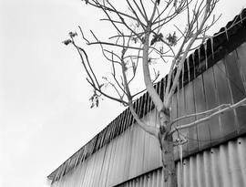 Megfagyott pillanatok