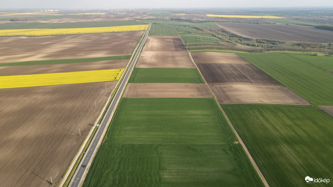 Gyönyörű a tavaszi határ