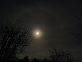 Holdhalo 