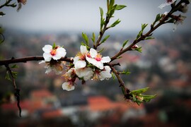 Esőben is szép