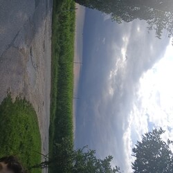 Tárkány