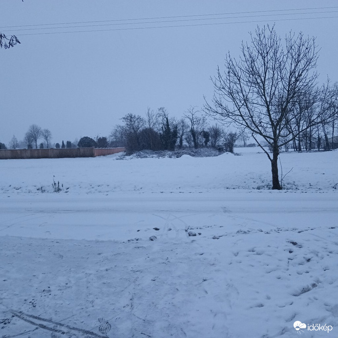 Tárkány