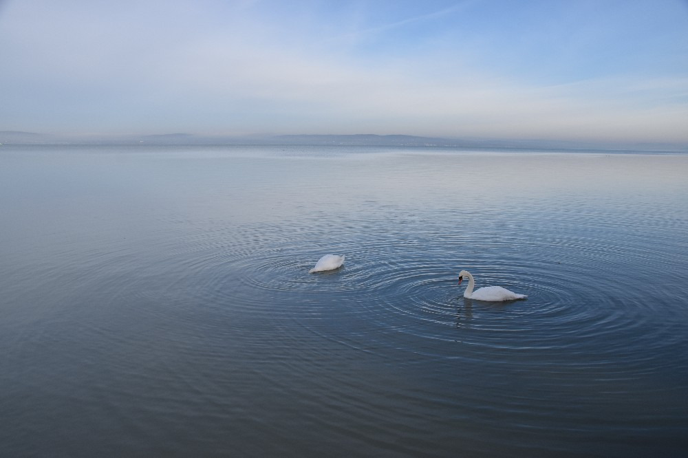 Balatonszemes