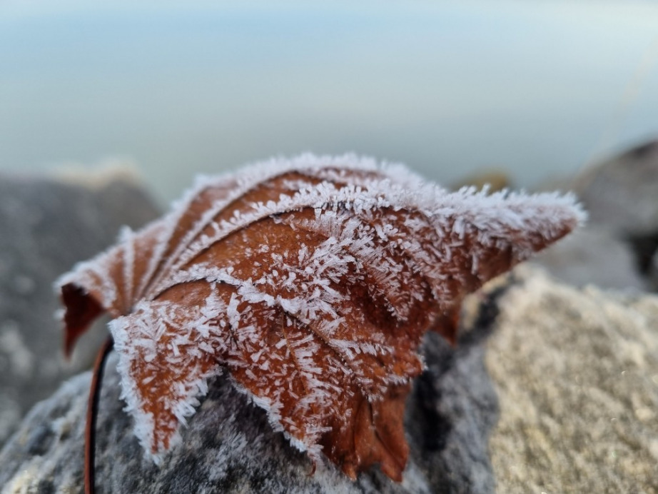 Balatonszemes