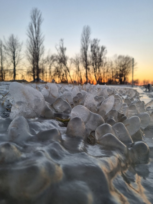 Balatonboglár