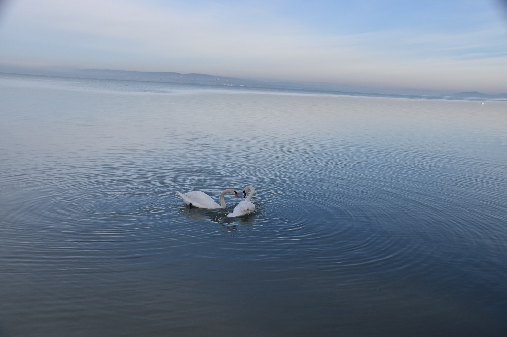 Balatonszemes