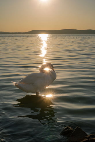 Balatonszemes