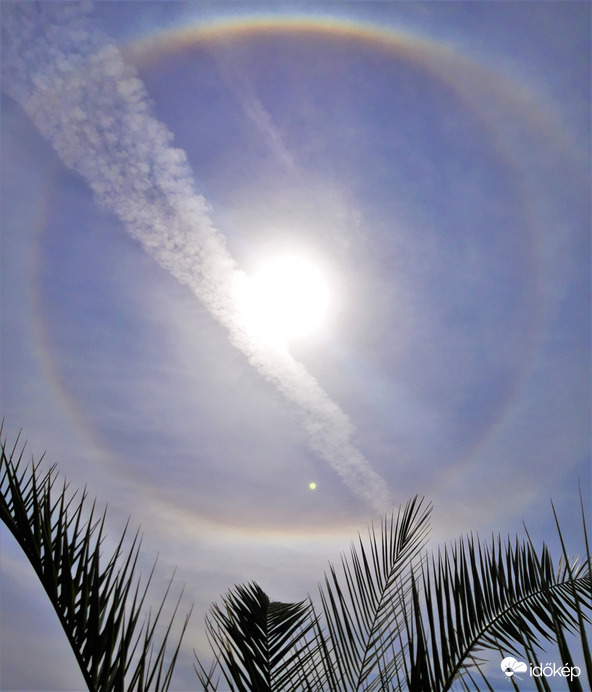 Mai halo