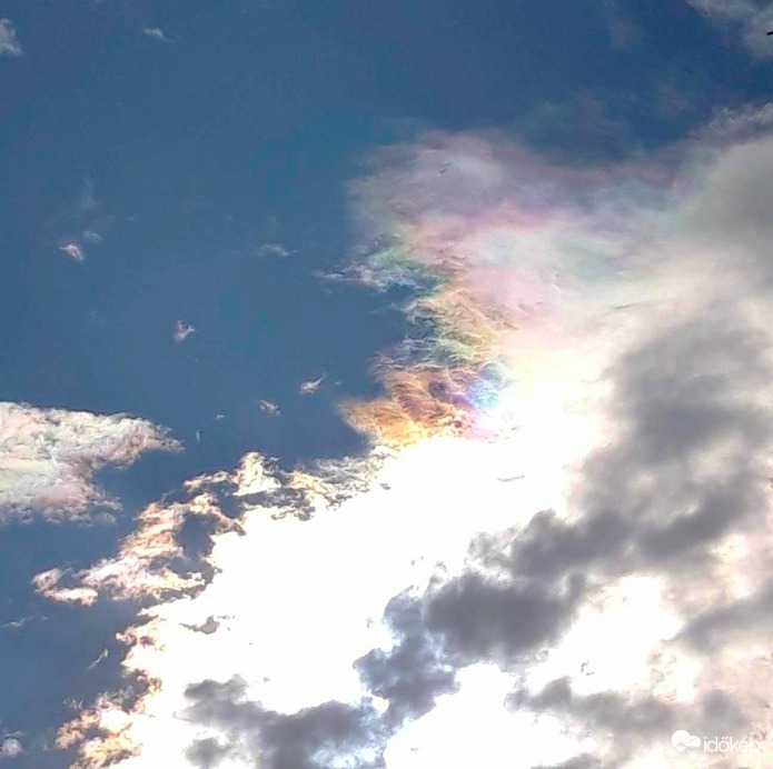 Napi gyönyörűség