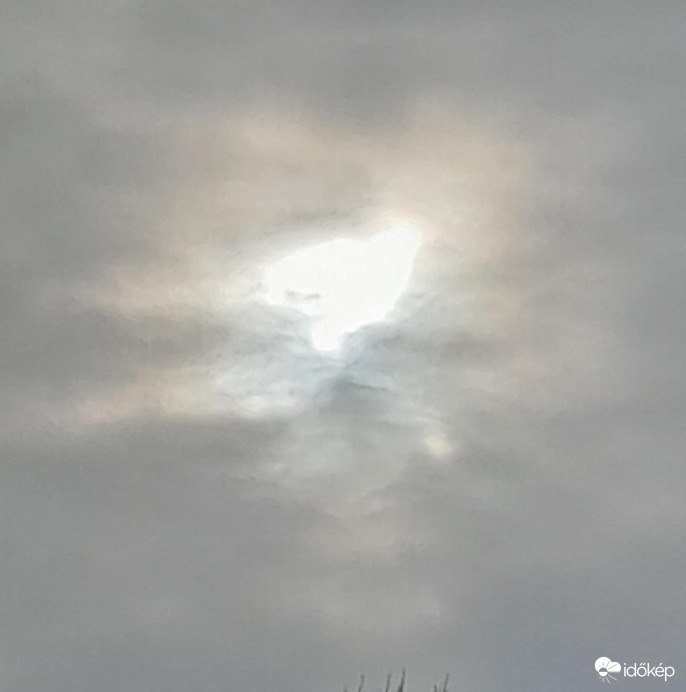 Békegalamb tegnap délelőtt