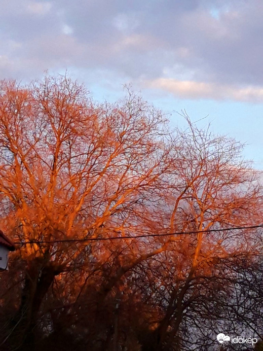 Golden hour