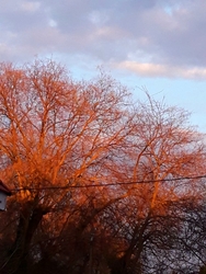 Golden hour