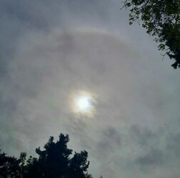 Nagycsütörtöki halo 