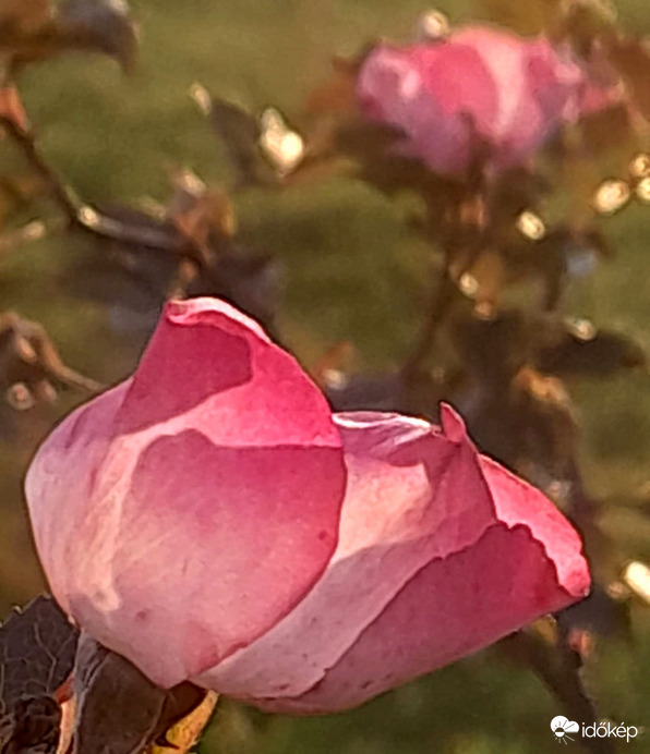 Budapest, Kossuth tér