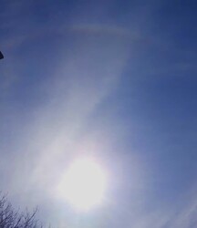 Halo