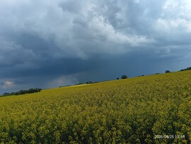 Tiszaigar