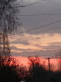 Beloiannisz