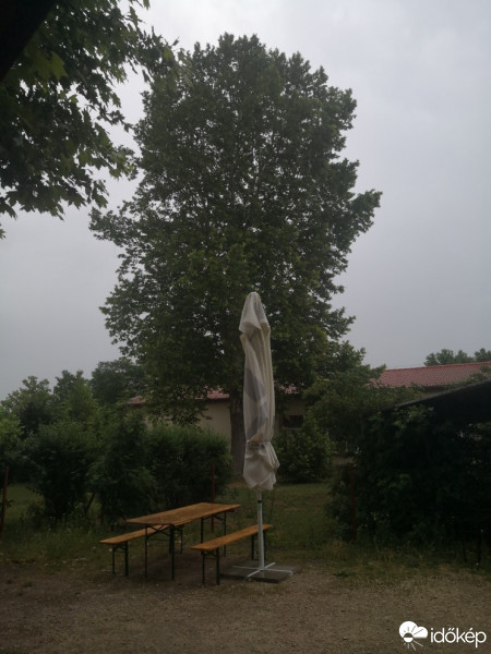 Beloiannisz