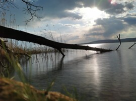 Balatonszőlős
