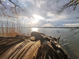 Balatonszőlős