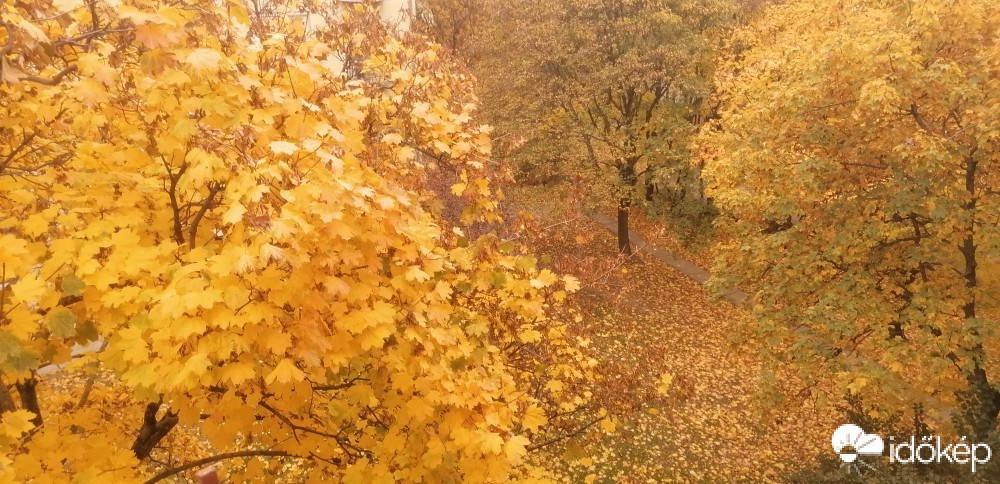 Pécs