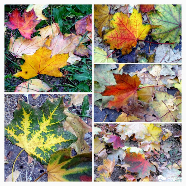 téma az utcán hever