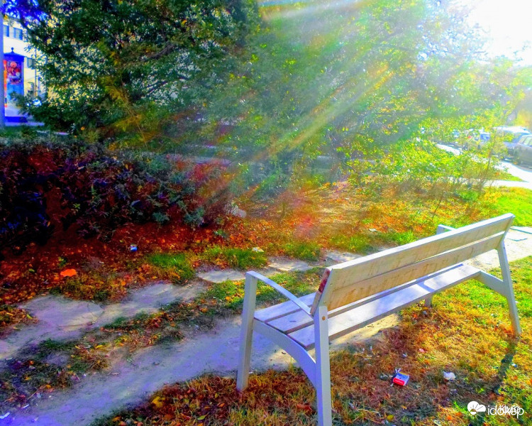novemberi napfény