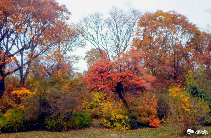 színes november