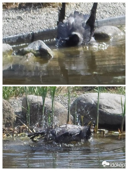 hűsölők  a nyárias melegben
