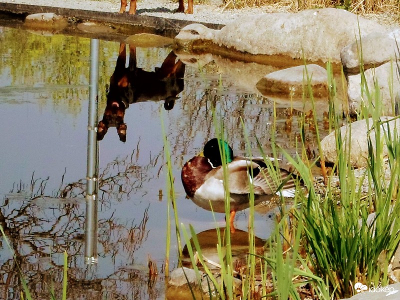 hogy kerülsz te ide?