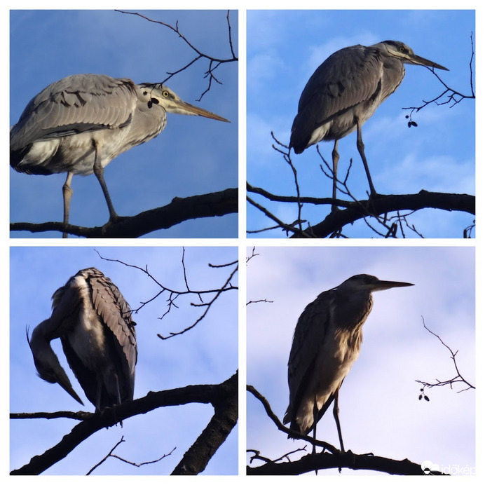pózoltt is,kár.hogy nem volt nálam jobb fényképezőgép