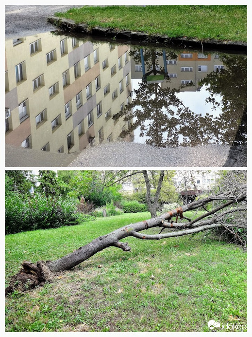 éjszakai vihar nyomán