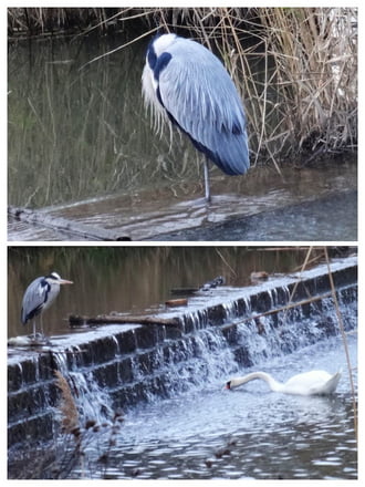 ma sem láttuk a napot