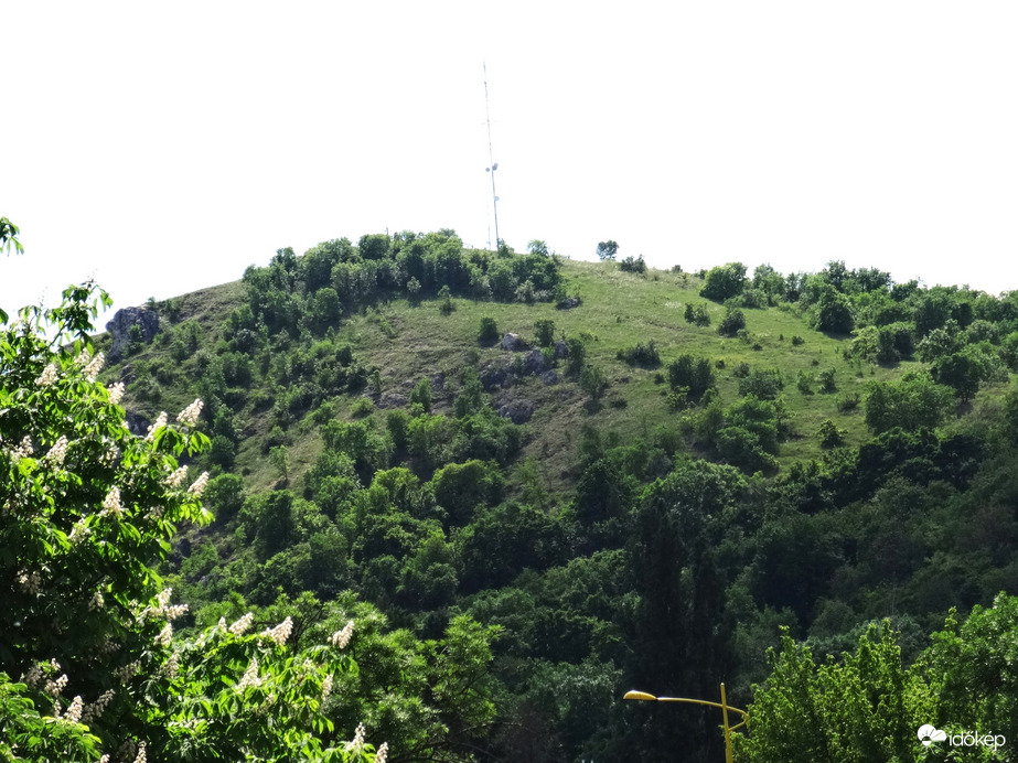 Sashegy