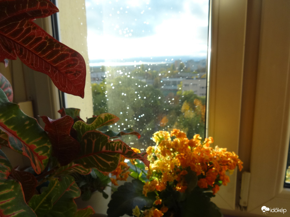 a két front között